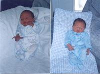 C&Csmall.jpg - 16247 Bytes